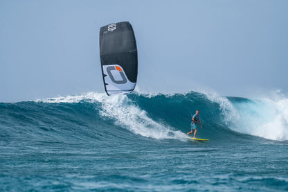 REO V7 - Kite only with bag